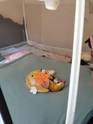 -西瓜庄园儿童摄影