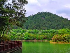 -广州白江湖森林公园
