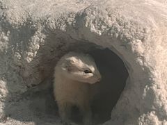 -浙江自然博物院(杭州馆)