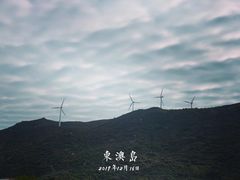 -东澳岛