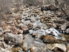 -稻城亚丁风景区-电瓶观光车售票处