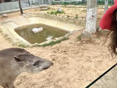 -西霞口神雕山野生动物世界