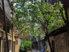 -玫瑰甜品(文明路店)