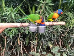 -南宫五洲植物乐园