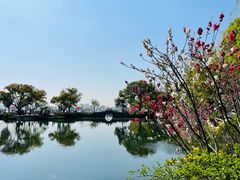 -无锡蠡湖国家湿地公园-蠡园