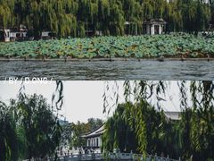 -济南大明湖景区