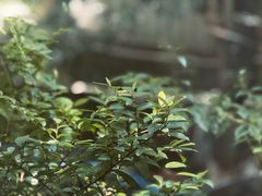 -旧雨咖啡·CoffeeFORU(黄村奥体店)