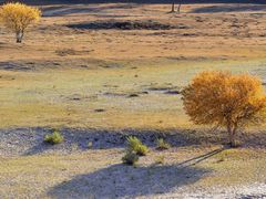 -塞罕坝国家级自然保护区