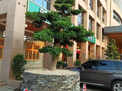 -德胜轩正宗顺德菜(宝安沙井会展中心店)