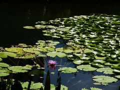 -星巴克(深圳前海企业公馆店)