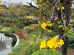 -荔湾湖公园
