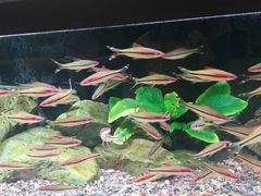 -新粤新疆菜(禅城店)