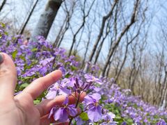 -白塘生态植物园