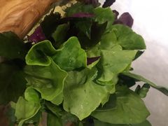 -东椰·海南椰子鸡火锅(朝阳门店)