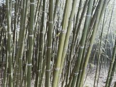 -竹泉村旅游度假区