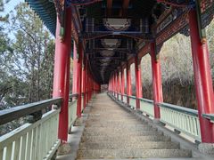 -兰山公园