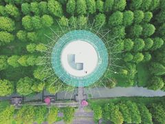 -黄海国家森林公园