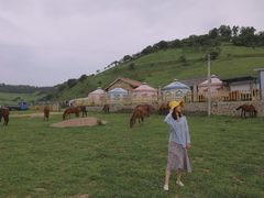-关山草原