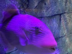 -沈阳海洋探索中心