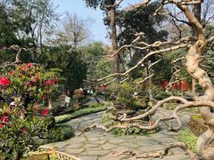 -成都武侯祠博物馆