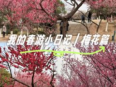 -月湖风景区