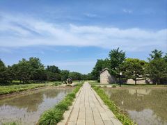 -北坞公园