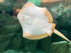 -珠海长隆海洋王国