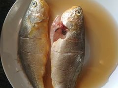 雪菜蒸黄花鱼-四海蒸鲜蒸汽海鲜自助(北戴河店)