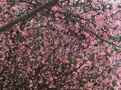 -苏州工学院(东湖校区)