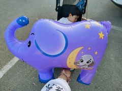 -南昌动物园