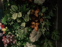 -新盈光·云会所(百丈东路店)