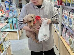 -宠物家(双井店)
