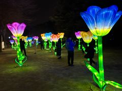 -洛阳市隋唐城遗址植物园