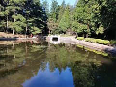 -庐山风景区花径公园