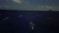 -翱翔飞越地平线