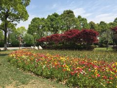 -上海鲜花港
