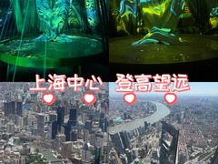 -上海中心大厦