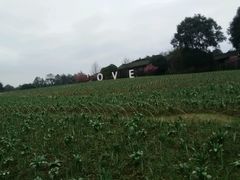 android_upload_pic-保利石象湖景区