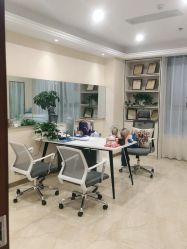 -碧莲盛·不剃发植发