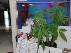 -雅悦齿科(顾村公园店)
