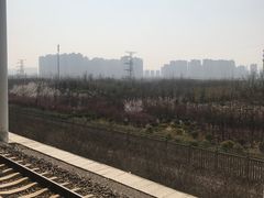 -邯郸东站