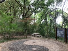 -上海佘山国家森林公园天马山园