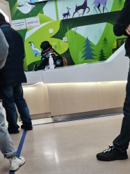 -上海交通大学医学院附属上海儿童医学中心(陆家嘴总院区)