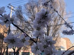 -乌鲁木齐市第二十三中学