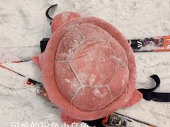 -绍兴启迪乔波冰雪世界