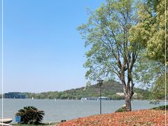 -上海月湖雕塑公园