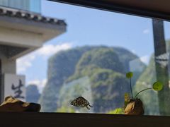 -生态苑农庄(十里画廊遇龙河店)