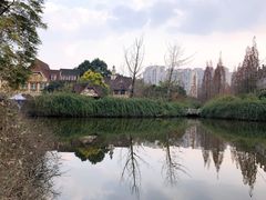 -成都南湖公园