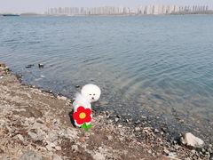 -丁香湖公园