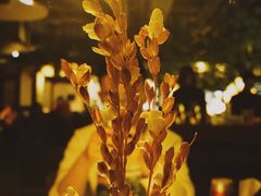 -苏乡兰亭·新派淮扬菜(吾悦广场店)